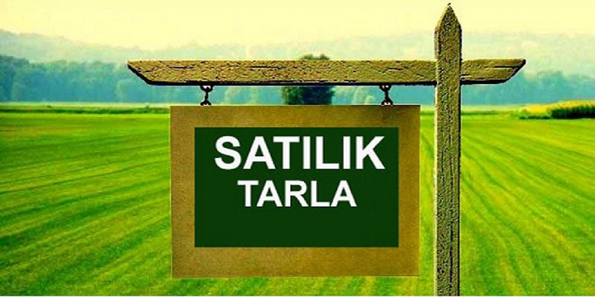 KAYSERİ DEVELİ KÖSELER MAHALLESİNDE SATILIK TARLALAR